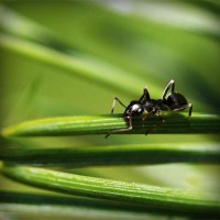 /album/oakleyonduty/photolia-a05-jpg/