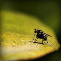 /album/oakleyonduty/photolia-a07-jpg/